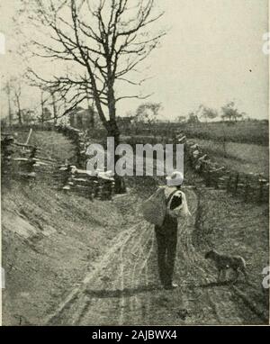 Was gibt es zu sehen in Amerika. ist Lexington, der seinen Namen von Havingbeen im Jahr der Schlacht von Lexington gegründet wurde. Unter den berühmten Lager Farmen in der Nähe von Es ist Ashland, formerlythe Home von Henry Clay. In Woburn, 15 Meilen von der Stadt, die berühmte Traber, Maud S, gezüchtet wurde und sevenmiles nördlich der Stadt ist Pappel Hill, dem Geburtsort ofNancy Hanks, die eine Meile in 2.4 trottete. Etwa vierzig milessouth von Lexington, am Rande des CumberlandMountains, Berea College, das Tun solcher excellentwork unter den Berg weiß ist. Es war in &gt;.,. 1855 für die Bildung Stockfoto