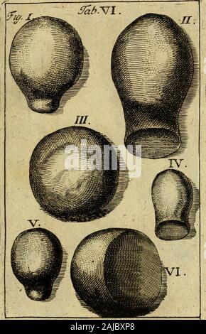 Thesaurus subterraneus Brunsvigii ducatus id est Braunschweig mit-Schzen unterirrdischen und Seltenheiten der Natur. Stockfoto