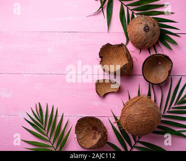 Kokosnüsse und Palmblättern auf Rosa Stockfoto
