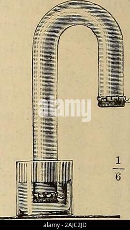 Physiologische Methodik: ein Handbuch der praktischen Physiologie. Abb. 248. Stockfoto