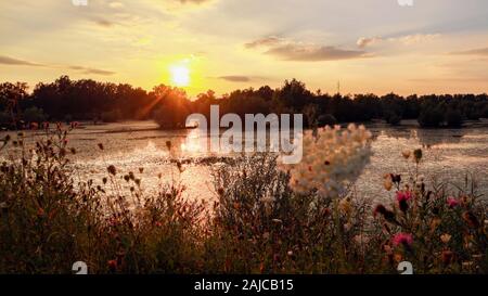 Wunderschöner abgeschiedener See im Wald in der goldenen Stunde des magischen Sonnenuntergangs Stockfoto