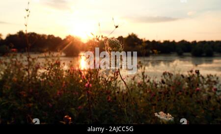 See bei Sonnenuntergang Stockfoto