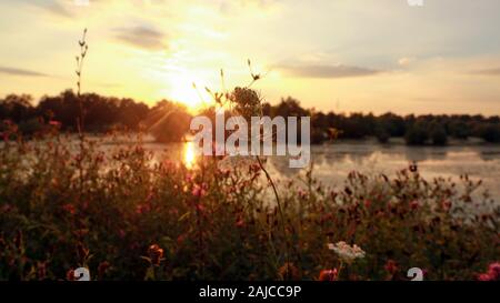 See bei Sonnenuntergang Stockfoto