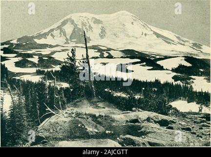 Die wächter der Columbia, Mount Hood, Mount Adams und Mount St. Helens. 106 DIE HÜTER DES COLUMBIA die Kaskade reicht, aber erhebt sich westlich von der Bergrücken des Systems fromvalley Ebenen über Tausend Meter über dem Meer. Durch die COM-dabei niedrige Bergrücken umgeben, stellt sie damit die perfekte und beeindruckenden Kegel foralmost seine gesamte Höhe von 10 tausend Füße. Der Berg ist auch wieder aus dem Hauptgerät die befahrenen Straßen, in der greatforest des südwestlichen Washington. Es ist das Zentrum der schönen See und riverdistrict, Sportler und Bergsteiger anzieht. Eine große Kom Stockfoto