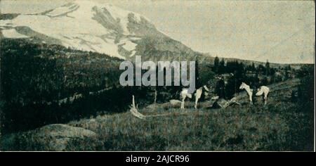 Die wächter der Columbia, Mount Hood, Mount Adams und Mount St. Helens. Obere Eis Kaskade der Klickitat Gletscher. Lava. Einige der Schlucht Stecklinge haben gezeigt Lapilli und Schlacken, aber sie sind seltener als bei den anderen Nordwestlichen Gipfel. Die härteren Struktur hat die Erosion, die so tief Schneiden ist in den unteren Hängen des Haube widerstanden. Auf Mount Adams, nicht nur die Gletscher, mit ein oder zwei Ausnahmen, bis auf die allgemeine Oberfläche des Berges liegen, durch ihre Moränen gehabt; aber ihre Bäche haben wenige tiefe Schluchten schnitt. Ab diesem Punkt, theroute steiler, butis noch über Stockfoto