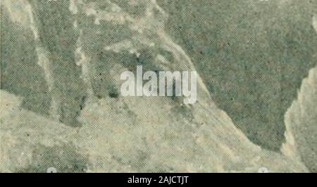 Die wächter der Columbia, Mount Hood, Mount Adams und Mount St. Helens. Stockfoto