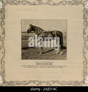 Züchter und Sportler. Band LX. Nr. 25. SAN FRANCISCO, Samstag, 22. Juni 1912. Abonnement - $ 3.00 pro Reißen. Der Züchter und SPOHT 8 EXS [Samstag, 22. Juni 1912. Rettet-die-PFERD (Marke eingetragen.) SPAT REMEDY Stockfoto