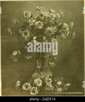 Austausch der Floristen': eine wöchentliche Medium der Interchange für Floristen, Baumschulen, seedsmen und der Handel im Allgemeinen. d in der Charta sind, Theadvancement des Gewächshauses Industrie und formaking reseaohes in die Krankheiten von Blumen, Pflanzen und Gemüse; zum Zweck der Diagnose sagte ordeveloping ein Heilmittel für Krankheiten. Prof. A.C. Beal war anwesend und sprach Interesse zunehmend und ausführlich auf die Objekte der organi- rung und die Wahrscheinlichkeit von legislativerecognition sichern. Herren Vaughan, Rudd und Hartshornealso Adresse. Die Sitzung ssed, und neun Namen wereadded auf die Rolle von Mem Stockfoto