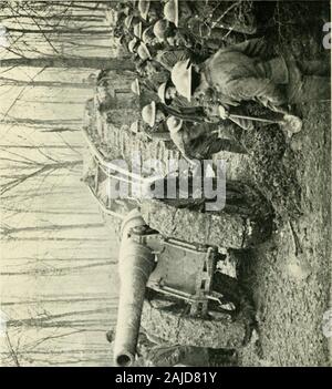 Tanks, 1914-1918; die Log-buch ein Pionier. Stockfoto