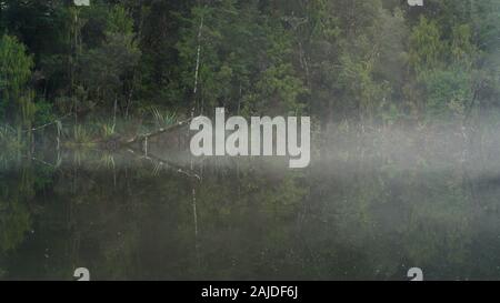 Spiegel Tarn Oparara Basin im Regen, Kahurangi National Park, Neuseeland. Stockfoto