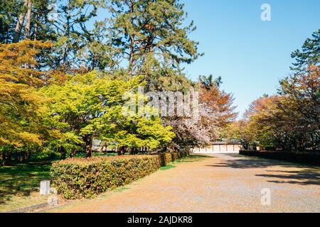 Kyoto Gyoen National Garten im Frühling in Japan Stockfoto