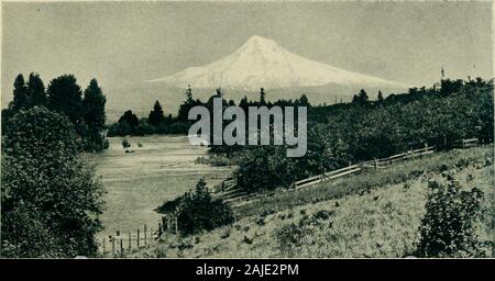 Die wächter der Columbia, Mount Hood, Mount Adams und Mount St. Helens. Urheberrecht. G.M. WEISTER St. Peters Dom, ein SOO-Fuß crag am Südufer der Columbia; Mt. Adams in der Ferne erheben gegen die blauen Wände des Himmels ihre mächtigen Formen, und lassen Sie die Sonne webt golden netvAork in Ihrem belting Holz; Lächeln in rainbows von Ihrem fallenden Fluten,&gt; ind auf Ihrem königlichen Augenbrauen an morn und Eva Set Kronen.-Whittier. Der Fluss 21. ; T, ^m Mount Hood, aus Kolumbien Slough gesehen. Über ein Dutzend Falten der Kaskaden, die Kluft es auf seinem Weg zum Meer zerrissen hatte verfolgt wurde Stockfoto