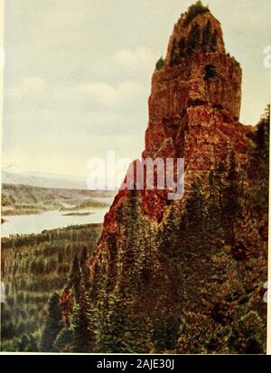 Die wächter der Columbia, Mount Hood, Mount Adams und Mount St. Helens. Urheberrecht. G.M. WEISTER St. Peters Dom, ein SOO-Fuß crag am Südufer der Columbia; Mt. Adams in der Ferne erheben gegen die blauen Wände des Himmels ihre mächtigen Formen, und lassen Sie die Sonne webt golden netvAork in Ihrem belting Holz; Lächeln in rainbows von Ihrem fallenden Fluten,&gt; ind auf Ihrem königlichen Augenbrauen an morn und Eva Set Kronen.-Whittier. Der Fluss 21. Stockfoto