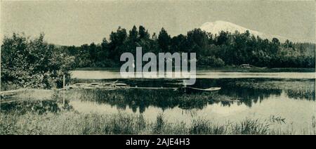 Die wächter der Columbia, Mount Hood, Mount Adams und Mount St. Helens. .,.-^ ,1. Trout Lake und Mount Adams. Die WÄCHTER DER COLUMBIA I. den Fluss der Columbia, als eine vom Meer bis zu den Bergen gesehen, ist wie eine robuste, Breite - Erstklassige malerische alte Eiche, etwa 600 km lang und fast tausend Meilen breit, über die Verbreitung von seinen oberen Ästen gemessen, die wichtigsten Glieder knorrige und geschwollene withlakes und Erweiterungen, während unzählige kleinere Seen glänzen wie Obst unter thesmaller Zweige. - John Muir. An einem frostigen Morgen im letzten Juli, vor Sonnenaufgang, stand ich u Stockfoto