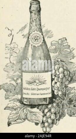 Pacific Wein und Geist überprüfen. Rades von Hopfen sind notgenerally verwendet, wie fast jeder hier ist ein Richter von goodbeer, die Brauerei, die danach trachten, durch die Verwendung eines cheaperand ärmeren Klasse von Hopfen bald sein Geschäft verlieren würde zu profitieren. Die Menge von Alkohol im Bier enthaltenen consumedhere ist von 3i bis 4 Prozent, aber der Export Bier containsfrom 6 bis 8 Prozent. Es ist notwendig, zu brauen, die letztere ZU WEIN UND WINZER FKUIT. - Die undersignedwishes seine Dienste in der Fertigung nicht zu bieten - Alkoholische fruitjuices ohne Medikamente. Wm. Rueff, Sept. 0 Felton, Santa (ruz Co., Cal. T, 7^. Ferguson. WHOL Stockfoto