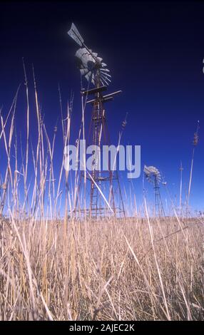 WINDMÜHLEN (PUMPEN) AUF EINEM GRUNDSTÜCK IM LÄNDLICHEN NEW SOUTH WALES, AUSTRALIEN. Stockfoto