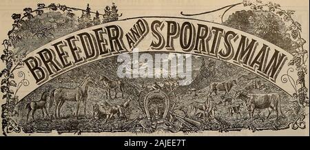 Züchter und Sportler. SELBY LASTEN GEWINN am Newman Gun Club Schießen, Newman, Cal., April 27-28, 1912. Herr Henry Garnison, ein Bewunderer SCHIESSEN SELBY LASTEN, gewann insgesamt hoher Amateure und Profis mit einer Punktzahl von 360 x 400. Schießen SELBY SCHROTFLINTE LASTEN Beladen auf dem Pazifik Coaat bySELBY Verhüttung und Co., SAN FRANCISCO Werben in der Züchter und Sportler Agenten und Korrespondenten wollte überall für theBreeder und Sportler. Band LX. Nr. 19. SAN FRANCISCO, Samstag, 11. Mai - 1912. Abonnement - $ 3.00 pro Jahr Stockfoto