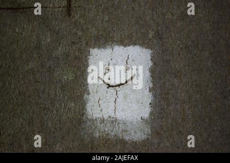 Weißes Rechteck oder Quadrat mit schwarz Smiley auf einem Baumstamm lackiert. Stockfoto