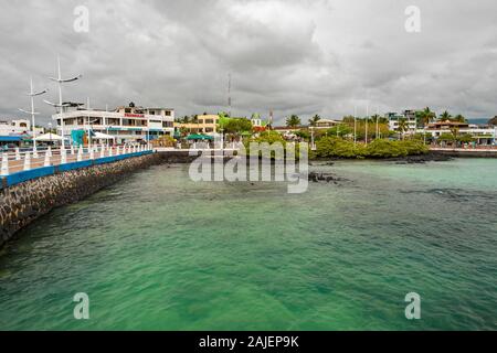 Puerto Ayora, Isla Santa Cruz, Galapagos, Ecuador. Stockfoto