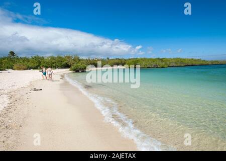 Playa los Alemanes, Santa Cruz, Galapagos, Ecuador. Stockfoto