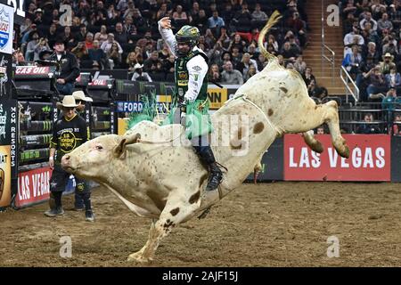 Madison Square Garden, New York, USA. 3. Jan 2020. Professional Bull rider Jess Lockwood Fahrten "Geburtstagstorte" während der ersten Runde der "PBR Unleash The Beast Monster Energy Buckoff" im Madison Square Garden in New York, NY, 3. Januar 2020. (Foto von Anthony Behar/Sipa USA) Credit: Sipa USA/Alamy leben Nachrichten Stockfoto