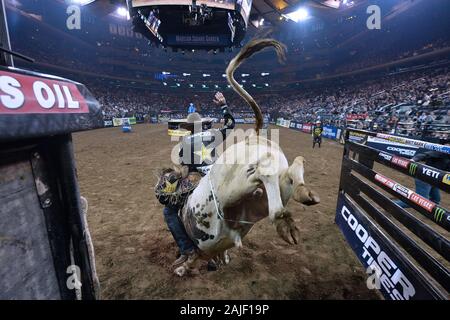 Madison Square Garden, New York, USA. 3. Jan 2020. Professional Bull rider Fabiano Vieira Fahrten" JC Gangster" während der ersten Runde der "PBR Unleash The Beast Monster Energy Buckoff" im Madison Square Garden in New York, NY, 3. Januar 2020. (Foto von Anthony Behar/Sipa USA) Credit: Sipa USA/Alamy leben Nachrichten Stockfoto