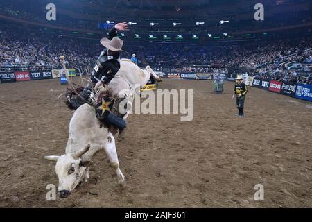 Madison Square Garden, New York, USA. 3. Jan 2020. Professional Bull rider Fabiano Vieira Fahrten" JC Gangster" während der ersten Runde der "PBR Unleash The Beast Monster Energy Buckoff" im Madison Square Garden in New York, NY, 3. Januar 2020. (Foto von Anthony Behar/Sipa USA) Credit: Sipa USA/Alamy leben Nachrichten Stockfoto