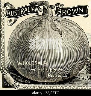 H.W Buckbee Samen und Pflanzen Guide: 1905. iety Intro * Verringerte In einer Generation. Die australische Braune Zwiebel ist von mittlerer Größe, Wunder-voll harte und feste, und attraktivsten für Markt, sowohl asto Form und Aussehen. Sie sind extrem früh in der Reifen- und nie irgendwelche steifen Hals oder frühlingszwiebeln. Alle seedseems Eine große Zwiebel zu produzieren, und die Lampe beginnt sehr toform qulekly - Wenn das Werk nicht über 3 Zoll nahe. Den kommenden Zwiebel. EXTRA FRÜH lange halten. Zur gleichen Zeit wie Rot Wethersfield Es tobe fast 4 Wochen früher und reiften mehr einheitlich bepflanzt. Aus seiner firmnes Stockfoto