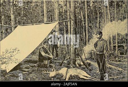 Reiseführer zu den Megantic, Spinne, und oberen Toten Fluss Regionen der Provinz Quebec und Zustand von Maine. . LEAN - HATHAN Moor. (Dead River) TOTEN FLUSS. Stockfoto