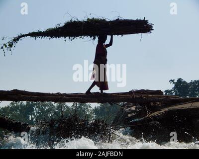 Sijhora/Indien/Dezember 09, 2019: Eine ländliche Frau beim Überqueren einer Holzbrücke mit Holz- Bündel auf dem Kopf. Stockfoto