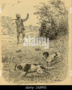 Reiseführer zu den Megantic, Spinne, und oberen Toten Fluss Regionen der Provinz Quebec und Zustand von Maine. . Bearbeitet IjyPOULTNEV BIGELOW. Outing einzelne Kopien, 25 cts. Im Wesentlichen die besten gentlemans Sport Magazin der Welt. , OUTING bietet zweifellos die interessant zu lesen, für alle Liebe^ von tlie Rod und Gewehr. Theodore Roosevelts Artikel auf Ranch Leben und Big Game schießen (OUTING, March-August, iSS 6) wertvolle Informationen geben in der Verfolgung der^ Biz nportant Funktion in der Anzahl zu Mose) n Rocky Mountain Forelle, Lake George und Maine Fliegenfischen, ich die vier inidsummer Mon Stockfoto