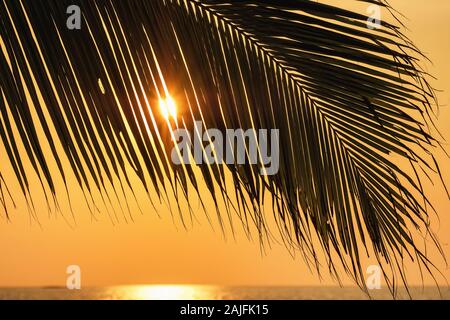 Sonnenuntergang auf einem wunderschönen tropischen Strand in Thailand. Tropischer Urlaub Konzept Stockfoto