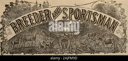 Züchter und Sportler. 175 SELBY LASTEN SELBY SCHMELZEN &, CO., San Francisco. 175 nachfolgende bricht Herr F. C. zeichnete, ein Bewunderer, eine neue Küste record" t San Bernardino, März 18, 1912, mit einem Runof 191 gerade, Schlichten mit 19 S x200. Bei diesem schießen Herr zeichnete verwendet nur 175 selby Lasten - theseregistering 175 gerade bricht. ?  Diese 100 PROZENT DATENSATZ VON EINEM AMATEUR PROVESTHE EFFIZIENZ VON SELBY LASTEN. Geladen OX der pazifischen Küste. Besondere BELASTUNGEN ZU EINEM MOMENTE bemerken.. Band LX. Nr. 14. SAN FRANCISCO, Samstag, April 6, 1912. Abonnement - $ 3.00 pro Yeai Stockfoto