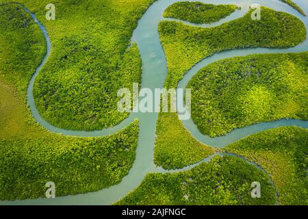 Aus der Luft der berühmte Hinchinbrook Channel und seine Mangroven. Stockfoto