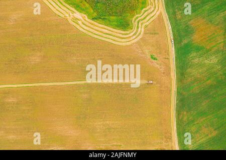 Luftaufnahme der ländlichen Landschaft. Mähdrescher arbeiten In Feld, sammelt Samen. Ernte von Weizen im Spätsommer. Landwirtschaftliche Maschine Collectin Stockfoto