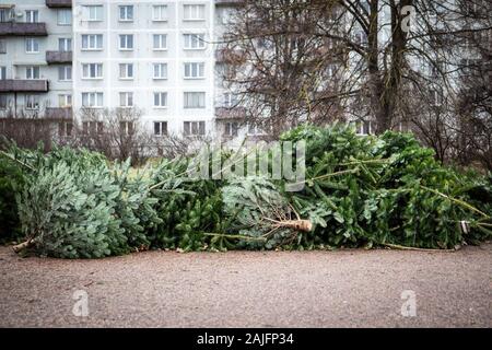 Stapel grüner Weihnachtsbaum auf dem Boden nach der Feier. Verschwendung von Verbrauch Stockfoto