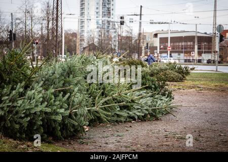 Stapel grüner Weihnachtsbaum auf dem Boden nach der Feier. Verschwendung von Verbrauch Stockfoto