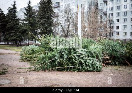 Stapel grüner Weihnachtsbaum auf dem Boden nach der Feier. Verschwendung von Verbrauch Stockfoto