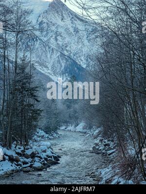 Eine Misty Mountain Stream fließt durch eine verschneite Landschaft. Die Bäume und Felsen sind mit Schnee bedeckt ein perfekter Winter ruhige Szene zu erstellen. Stockfoto