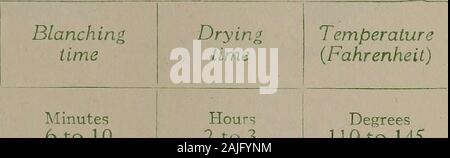 Home Trocknung Handbuch für Gemüse und Obst, 1917. tur, und für thatreason sollte an einem trockenen Ort wherethe Temperatur gespeichert werden ungefähr 50°F. Kürbisse von Stapeln auf einem dryfloor und Abdeckung mit Matten oder Teppiche gehalten werden kann, muss allerdings darauf geachtet werden, dass sie gequetscht notbecome vor dem Speichern. Süsse Kartoffeln können in layersin trockener Sand verpackt werden, Weizen Spreu oder Kohle, und im warmen Keller aufbewahrt. Eine einfache Methode ist die andeffective sweetpotatoes in Körbe in der Nähe von Ofen zu platzieren. Für blanchieren und Trocknen der folgenden Zeit ftable zeigt blanchieren Zeit für Gemüse und die appr Stockfoto