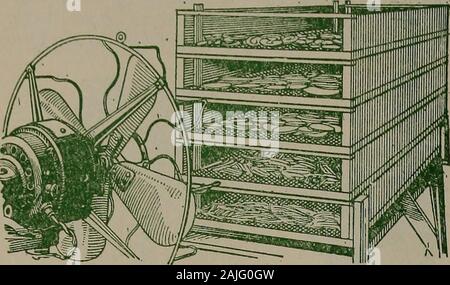 Home Trocknung Handbuch für Gemüse und Obst, 1917. 4; &Lt;Zoll slicesfor Zwiebeln und ^J^"-Streifen für Lauch, Blanchieren in kochendem Wasser oder Dampf für fiveminutes, Co!d-dip und surfacemoisture entfernen. Das Trocknen von Zeit, zwei und Einehalbe drei Stunden. Beginnen bei 110 °F. und erhöhen dann schrittweise auf HO*.. Schwein. 13.-Serie von Trays mit Enden facin;^electricfan, zum Trocknen von Air Blast. Rüben.-Kochen ganze bis mehr als drei Viertel gekocht, ohne Haut. Nach Eintauchen in kaltes Wasser, schälen und cutinto Yi "^"-Schichten. Das Trocknen von Zeit, twoand eine halbe bis drei Stunden. Start attemperature Stockfoto