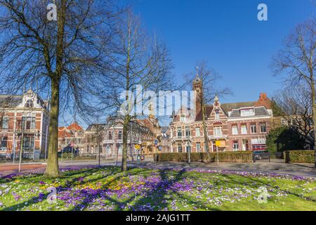 Krokusse, die alten Häuser und die Kirche Turm in der historischen Stadt Groningen, Niederlande Stockfoto