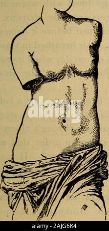 Der menschliche Körper ist ein Anfänger Lehrbuch der Anatomie, Physiologie und Hygiene. . Schnürung auch behindert die Bauchorgane. Es sonarrows der Brust (Abb. 12), die Lunge und Herz auf den Bauch arepushed, Zimmer zu bekommen. Theheart so nah ist gegen den Magen, dass selbst Patienten mit mäßigen Mahlzeit apt ist unnatürlich zu drücken gegen (s. angetrieben 127), und so Ihre arbeitet mit Eingemischt. Thelivers derer, die feste Schnürung praktiziert haben, sind oftenfound Hart ungesunde Schnüre auf ihnen zu haben, bypressure aus der unteren Rippen, durch das Korsett gepresster verursacht. schlecht gelüfteten Räumen? Welche Krankheiten sind espec Stockfoto