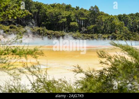 Wellington. 3 Jan, 2020. Foto auf Jan. 3, 2020 zeigt die Landschaft des Wai-O-Tapu Thermal Wonderland in Rotorua, Neuseeland. Die Wai-O-Tapu Thermal Wonderland ist ein Teil einer szenischen Reserve von über 18 Quadratkilometern. Ungefähr 160.000 Jahren gebildet, es ist mit eingestürzten Krater, kalt und boiling Pools von Schlamm, Wasser und dampfende Fumarolen abgedeckt. Aufgrund der unterschiedlichen mineralischen Zusammensetzungen, das Wasser im Pool im Park vorhanden verschiedene Farben wie Grün, Gelb, Rot und Bronze. Quelle: Guo Lei/Xinhua/Alamy leben Nachrichten Stockfoto