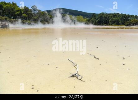 Wellington. 3 Jan, 2020. Foto auf Jan. 3, 2020 zeigt die Landschaft des Wai-O-Tapu Thermal Wonderland in Rotorua, Neuseeland. Die Wai-O-Tapu Thermal Wonderland ist ein Teil einer szenischen Reserve von über 18 Quadratkilometern. Ungefähr 160.000 Jahren gebildet, es ist mit eingestürzten Krater, kalt und boiling Pools von Schlamm, Wasser und dampfende Fumarolen abgedeckt. Aufgrund der unterschiedlichen mineralischen Zusammensetzungen, das Wasser im Pool im Park vorhanden verschiedene Farben wie Grün, Gelb, Rot und Bronze. Quelle: Guo Lei/Xinhua/Alamy leben Nachrichten Stockfoto