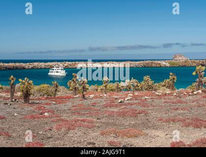 Die G-Abenteuer Boot "Eden" an der Küste von South Plaza Insel verankert, Galapagos, Ecuador. Stockfoto