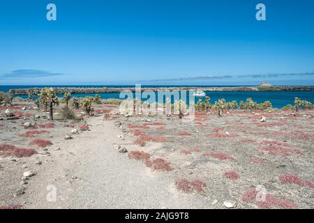 Die G-Abenteuer Boot "Eden" an der Küste von South Plaza Insel verankert, Galapagos, Ecuador. Stockfoto