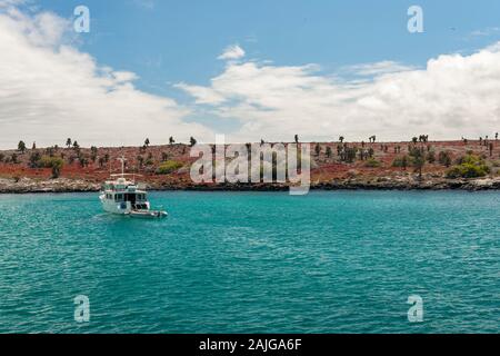 Die G-Abenteuer Boot "Eden" an der Küste von South Plaza Insel verankert, Galapagos, Ecuador. Stockfoto