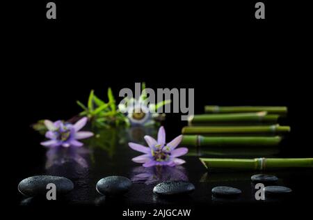 Wunderschöne Spa Komposition mit Passiflora, Bambus und Steine auf schwarzem Hintergrund Stockfoto