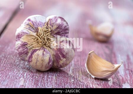 Neue Ernte französische Big pink und violett Knoblauch Geflecht aus Frankreich auf rosa Holz-, Hintergrund Stockfoto